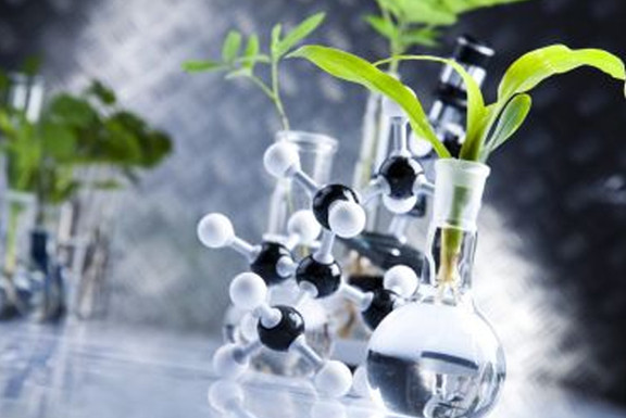 PA旗舰厅·(中国)官方网站