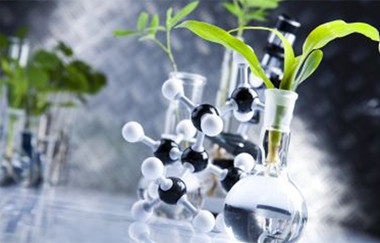 PA�콢����(�й�)�ٷ���վ