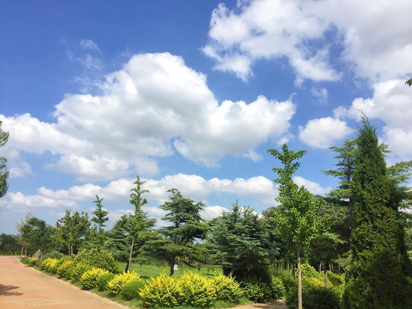 PA�콢����(�й�)�ٷ���վ